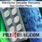 Männlicher Sexueller Stimulans Des Großen Penis 34